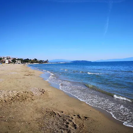 La Piazzetta *